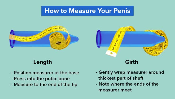 How to measure penis size